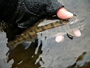 2007-05-01 031.JPG